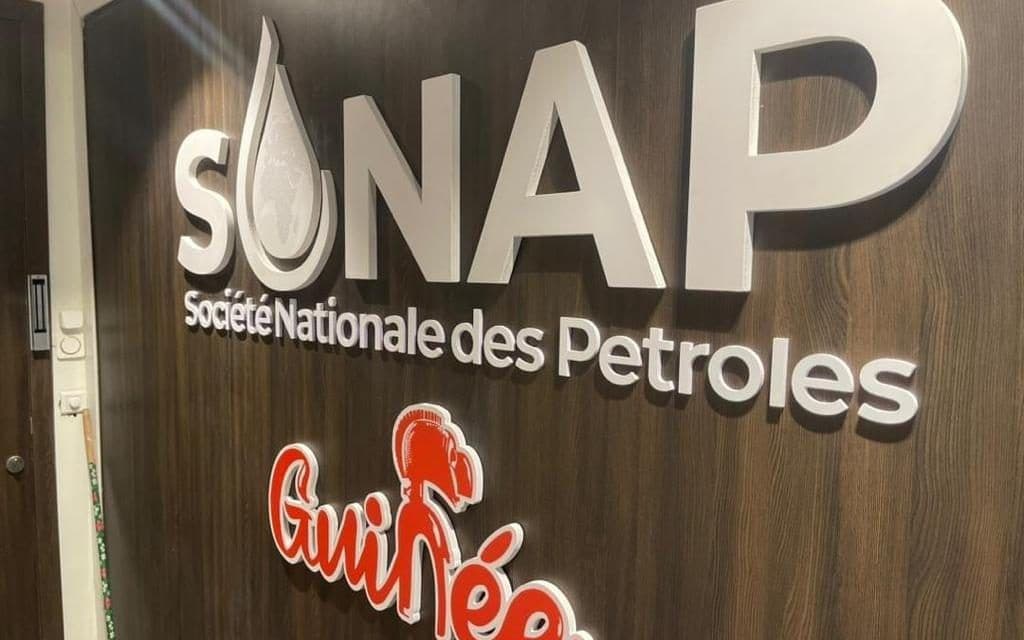 Guinée : une politique énergétique sous influence